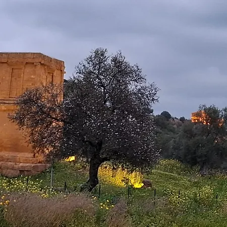 Le Lumie L' Antico Cortile Con Cucina Privata With Private Kitchen